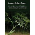 thumbnail image 1 of Herbes, Carex, Joncs: un Guide d'Identification, 1 of 2