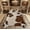 Brown 03, variant on Feelyou Cattle Cow Print Bedding Comforter Set, Farmhouse Animal Twin Comforter Sets, Modern Rustic Fashion Bedding Set, Super Cozy Room Decor, 2pcs