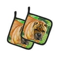 thumbnail image 1 of Carolines Treasures BB9835PTHD Shar Pei Paire de Porte-Pots St. Patricks, 1 of 1