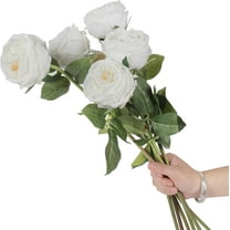 6pcs Eden Rose Artificial Flowers,24 Inch Super Long Stem David Austin Rose,Real Touch Silk Cabbage Rose for Home Decor Centerpiece Crafts Wedding Bouquet Supply,White