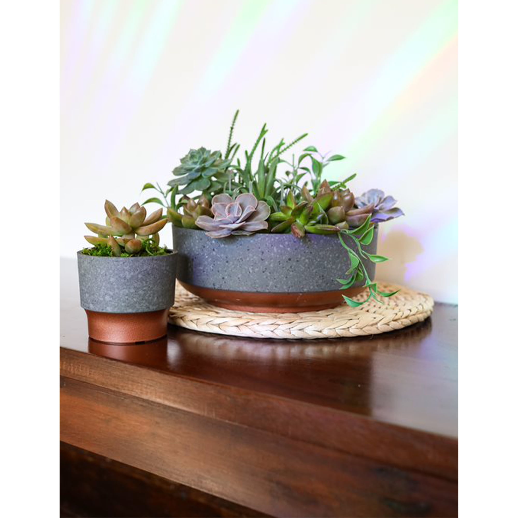 The HC Companies 8 In Capri Bowl Indoor Succulent Pot, Faux Concrete Copper