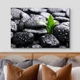 thumbnail image 3 of wall26 Canvas Print Wall Art Raindrops on Black Rocks with Sprouting Plant Floral Nature Photography Realism Bohemian Scenic Relax/Calm Cool for Living Room, Bedroom, Office - 24"x36", 3 of 5