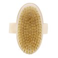thumbnail image 2 of Cepillo para el Cuerpo ANGGREK de Ducha Exfoliante Cabeza Redonda Amigable con la Piel, 2 of 8