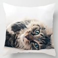 thumbnail image 3 of Cute Animal Pet Cat Dog Pattern Printed Soft Square Pillowslip Polyester Cushion Cover Pillowcase Living Room Home Decor QZX, 3 of 6