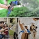 thumbnail image 2 of 100 Ft/30m Garden Hose, Expandable Garden Hose, Retractable Flexible Hose, Water Hose Expandable Elastic Stretchable Hose With 7 Spray Gun Function Fo, 2 of 5