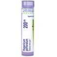 thumbnail image 6 of Boiron Hypericum Perforatum 200CK, Homeopathic Medicine for Nerve Pain, 80 Pellets, 6 of 13