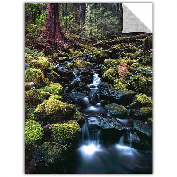 Dean Uhlinger Rain Forest Morning, Art Appeelz Removable Wall Art Graphic