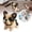 A, variant on NANDIYNZHI Animal Bead Kit,Dog Bead Craft Kit Set,Cute Animal Beadwork Craft Kit,Funny Bead Kit,Dog Shaped Bead Kit,DIY Colorful Bead Craft Kit Handmand,Interesting Bead Kit,Style F
