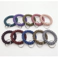 thumbnail image 5 of Loopunk 20 Pcs Wristband Keychains, Plastic Coil Stretch Elastic Spring Spiral Bracelet Key Ring for Gym Pool ID Badge, Plastic ID Tags with Label Window for Keychain Pet Luggage Bag, 5 of 6