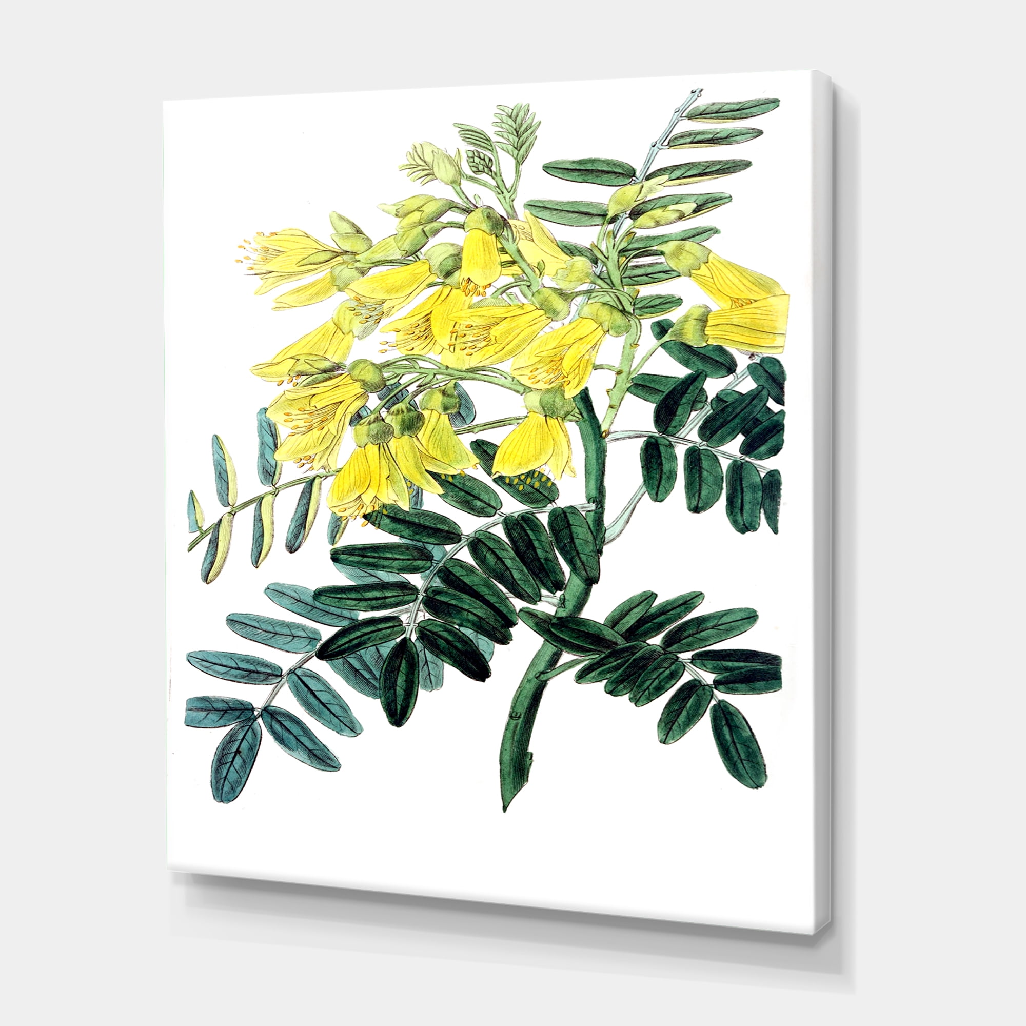 Designart ' Ancient Yellow Flower II ' Traditional Canvas Wall Art Print