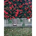 thumbnail image 1 of BSDHOME Polyester 5x7ft Floral Photography Backgrounds Photo Booth Backdrop, 1 of 2