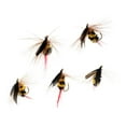 thumbnail image 1 of 5Pcs Fishing Bass Trout Dry Flies, 1 of 8