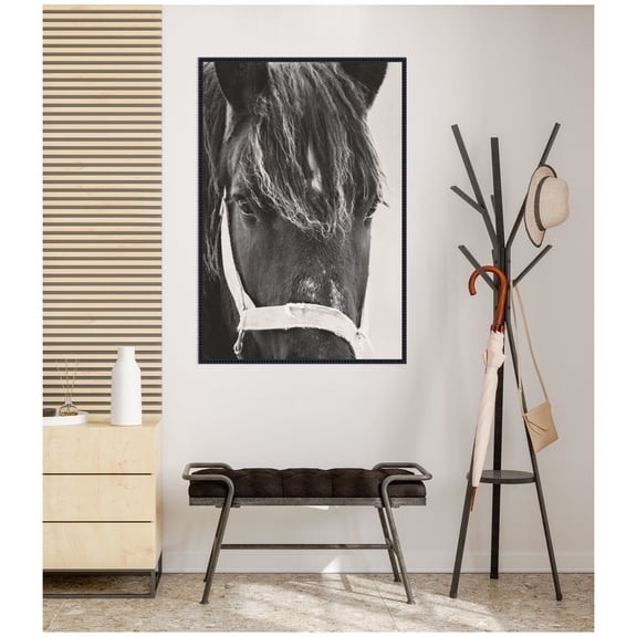 Kate and Laurel Framed Canvas Wall Art Print Black Horse by Emiko and Mark Franzen F2 Images, 28 x 41 Sylvie Beaded Black Frame, Rustic Farmhouse, Animal Art for Wall Decor