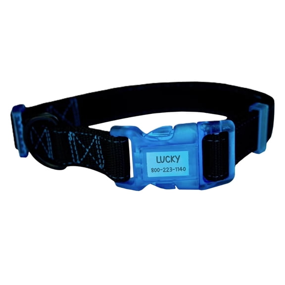 Sporn Reflective Dog Collar for Small Dogs, Adjustable Nylon Pet Collar with Built-In Waterproof ID Holder, Black & Blue (12-17 in)