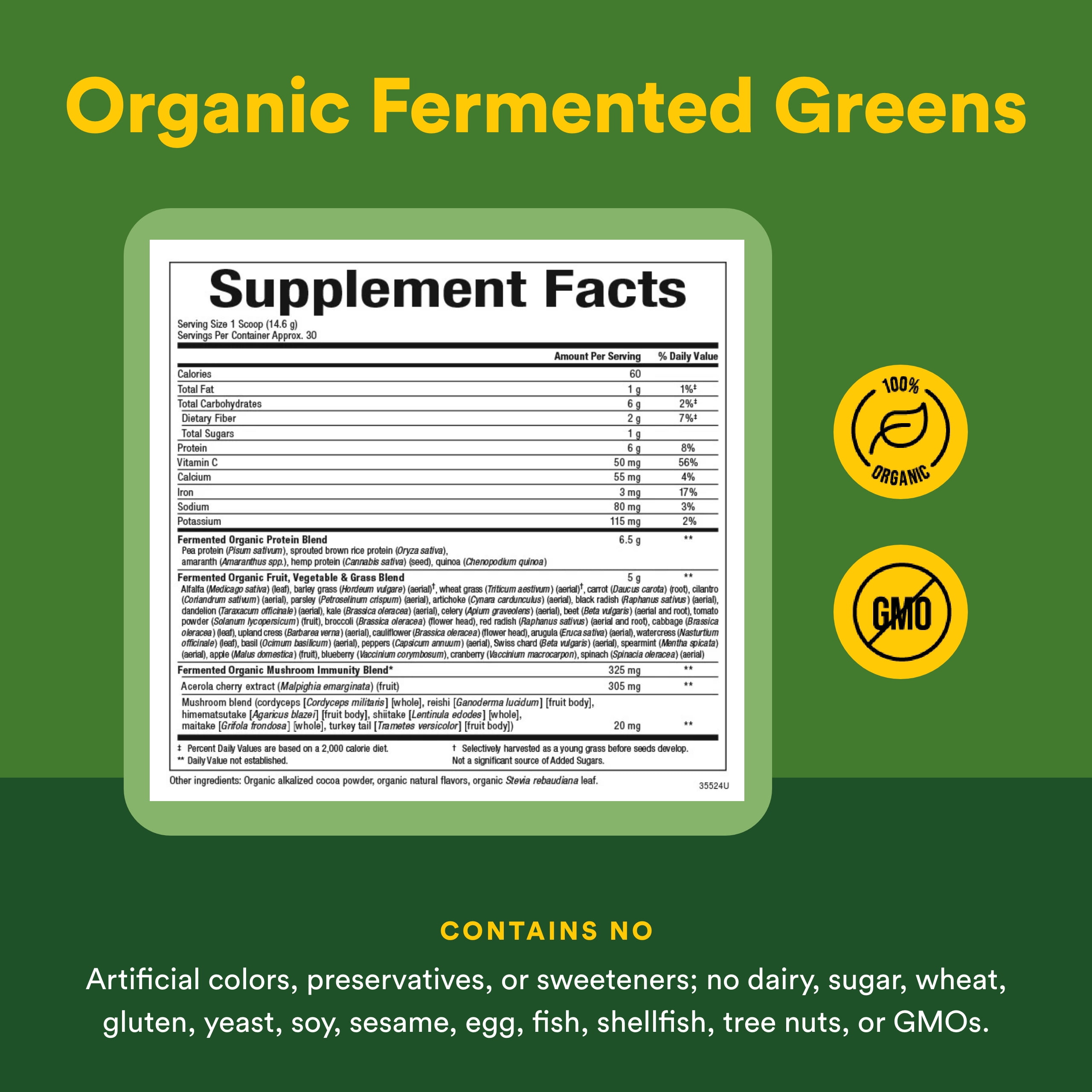 Natural Factors Whole Earth & Sea, Organic Fermented Greens, Vegan Whole Food Supplement, Chocolate, 7.7 Oz