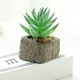 thumbnail image 3 of 4 Uds. De suculentas de simulación en macetas de piedra pequeñas, decoración del hogar a la moda, flores artificiales y plantas verdes, 3 of 5