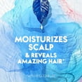 thumbnail image 6 of Head & Shoulders Supreme Sulfate Free Color Protect Shampoo, All Hair Types, 11.8 fl oz, 6 of 8