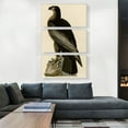 thumbnail image 2 of ARTCANVAS Bald Eagle - Bird of Washington Canvas Art Print by John James Audubon - Size: 60" x 40" (0.75" Deep) (3-Piece), 2 of 9