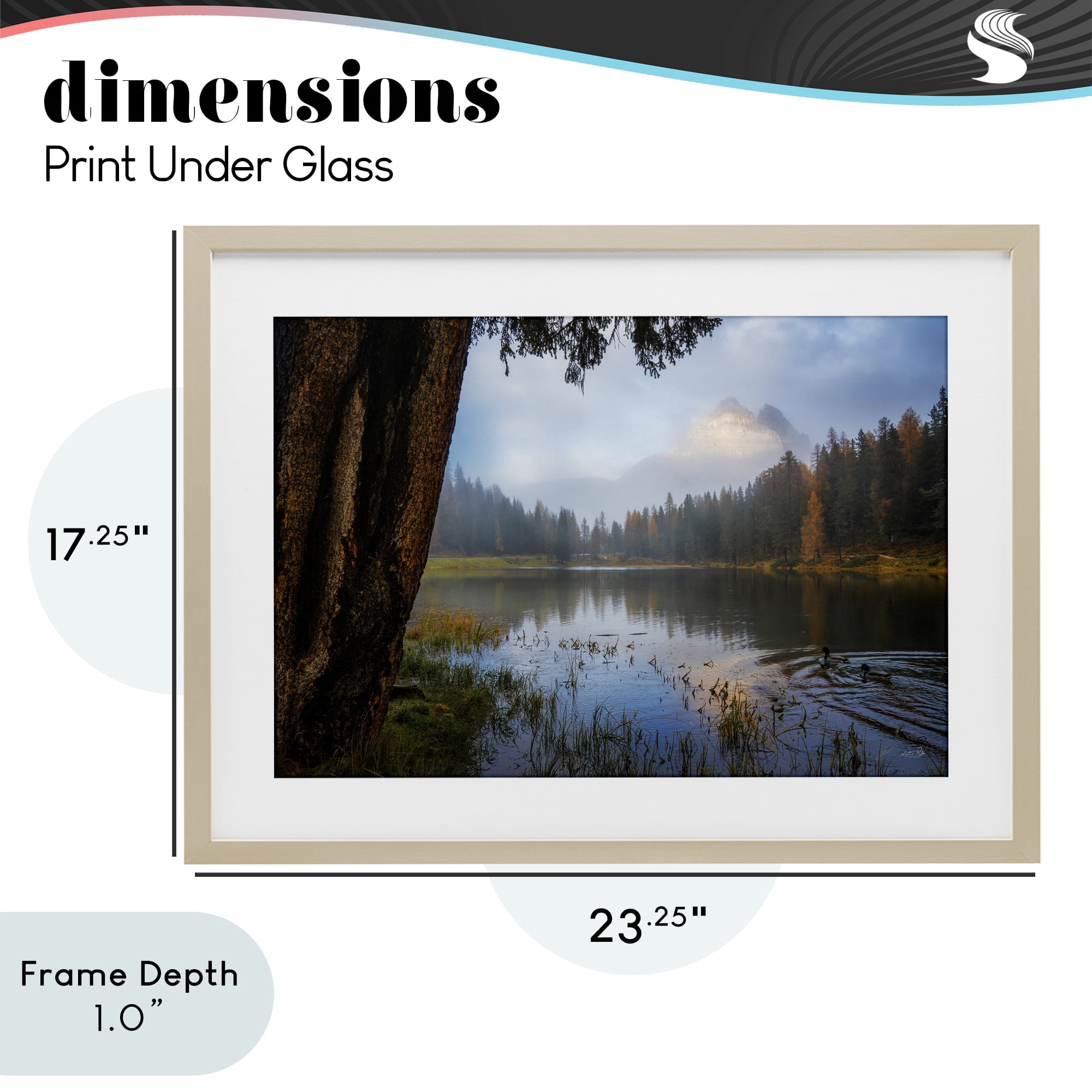 Stupell Industries Autumn Forest Reflections Birch Framed Print Under Glass, design by Martin Podt