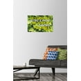 thumbnail image 2 of Tara Robinson - Burroughs Wall Poster with Pushpins, 14.725" x 22.375", 2 of 6