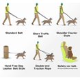thumbnail image 3 of Heytea Hands Free Dog Leash Multifunction Dog Training Leash Reflective Adjustable Nylon Bungee Leash Double Leash For Small Mediumlarge Dogs(l) - L(, 3 of 5