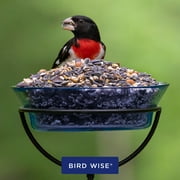 Audubon Park Extreme Variety Wild Bird Food, Dry, 15 lbs., 1 Count per Pack