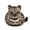 F, variant on Cosmetic Bag Category Drawstring Cat Makeup Bag for Travel and Storage - Cat Enthusiast Flat Cosmetic Pouch for Women Unique Travel Organizer Tote Everyday Beauty