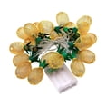 thumbnail image 5 of Lámpara de cadena de piña de malla de hierro tu un 3 m 20 LED con batería, 5 of 5