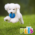 thumbnail image 2 of JUGUETE DONA SOUND CH Fancy Pets FL9428, 2 of 2