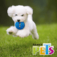 thumbnail image 2 of JUGUETE DONA SOUND CH Fancy Pets FL9428, 2 of 2