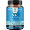 NAC 600mg Natural Supplement - High Absorption N-Acetyl Cysteine 90ct Capsules NAC 600 mg - Powerful Immune Boost and Liver Support Pure NAC Pills - Nature's Craft NAC