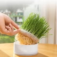 thumbnail image 3 of Cat Grass for Indoor Cats 4.7x2.2 Inch Plastic Cat Grass Planter Hydroponic Pot Lightweight Round Cat Grass Box for Growing Products, 3 of 6