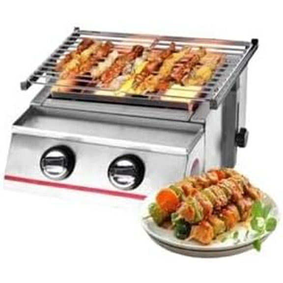 LPG BBQ Gas Grill, 2 Grill Burners Mini Propane Grill with Food Tray and Oil Tray, Portable Evenly Temperature Camping Griddle for Camping Picnics, 13.9(L) X 16.5(W) X 7.7(H)