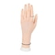 thumbnail image 3 of Mano de Maniquí de resina, organizador de joyas, accesorios, soporte para exhibición de joyería, modelo de mano de simulación para reloj, Organización Izquierda, 3 of 8