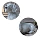 thumbnail image 4 of Estatua realista de perro salchicha | Figura de perro de resina pintada a mano | Bonita decoración para el hogar y el escritorio para amantes de los perros, para la oficina, estantería o como regalo, 4 of 4