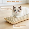 thumbnail image 6 of Catnip Toys for Cats, Interactive Catnip Chew Toy, Cat Chew Toy & Catnip Pillows, Enrichment Kicker Pillow for Indoor Adult Cats (11.22in, 2PC), 6 of 10
