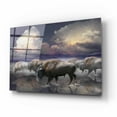 thumbnail image 2 of Epic Art 'Buffalo Reflections' by Enright, Acrylic Glass Wall Art, 16"x12", 2 of 8