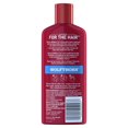 thumbnail image 4 of Old Spice Wolfthorn 2in1 Shampooing et Revitalisant, 4 of 6
