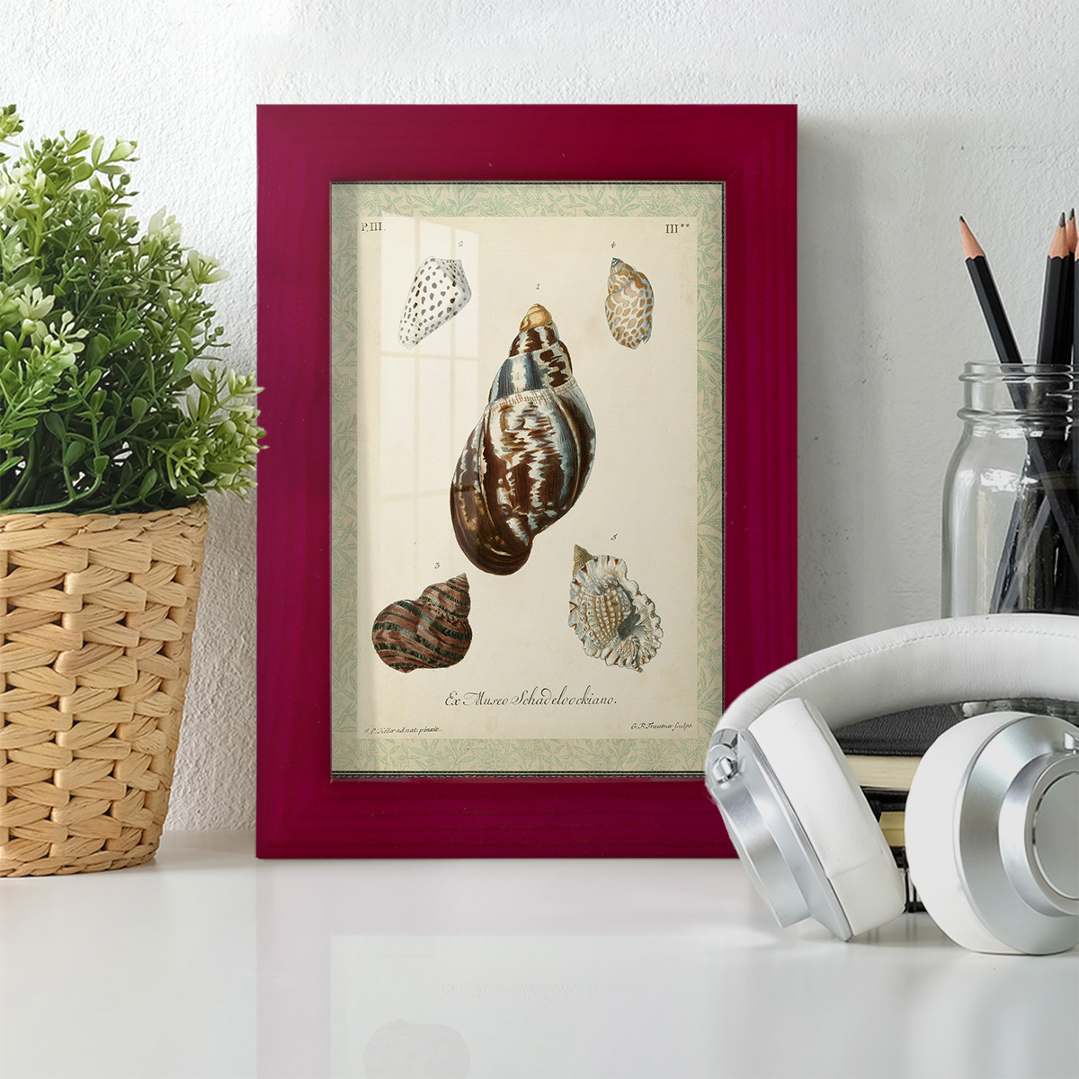 Bookplate Shells VII - Framed Print w/glass - Cherry Red