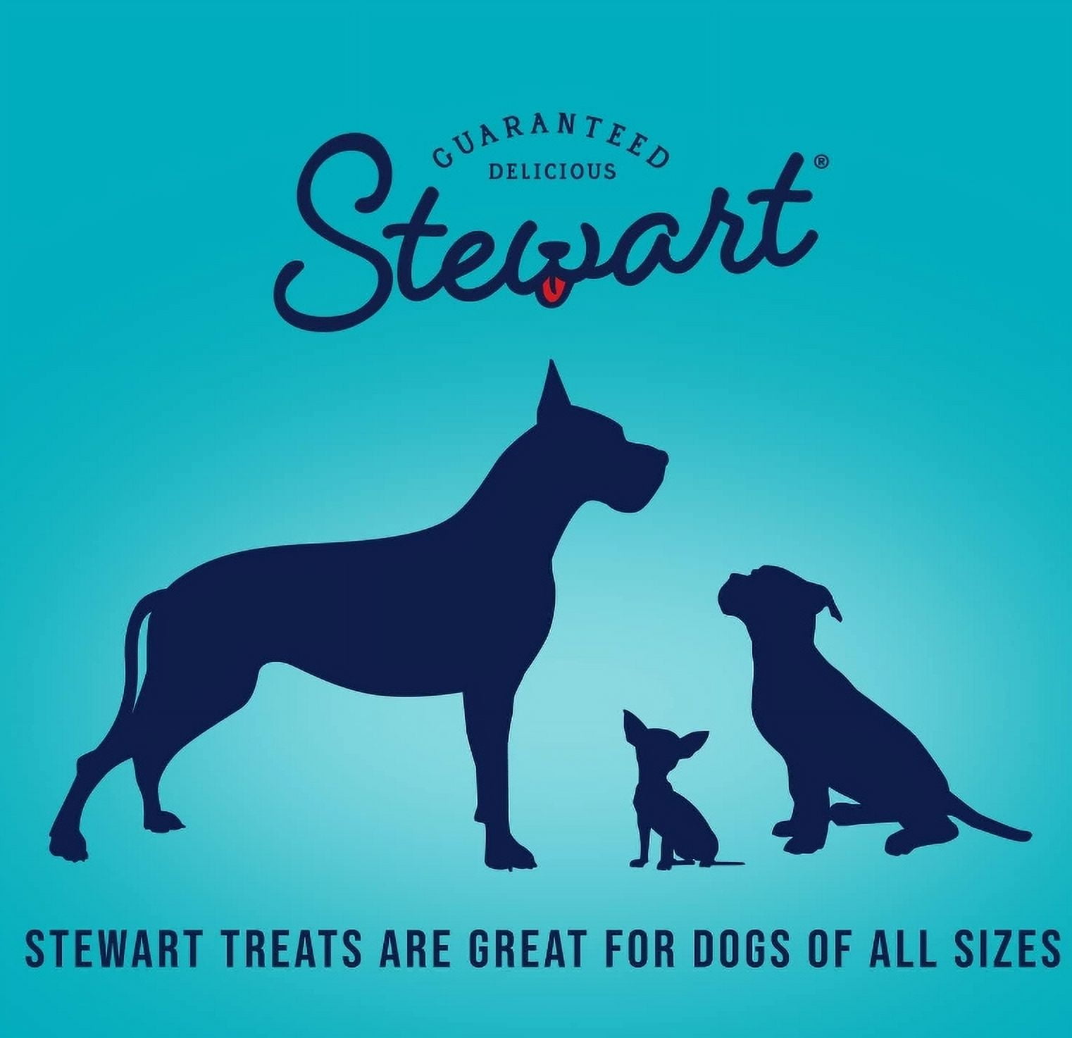 Stewart Beef Liver Freeze Dried Dog Training Treats [USA Dog Treats, New Dog Supplies, Stewart, Dog Supplies] 8 oz