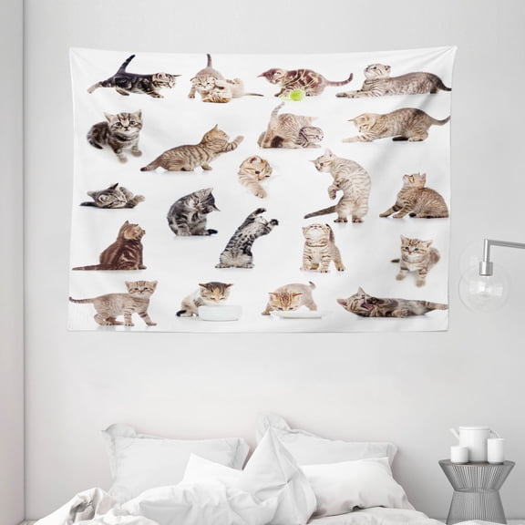 Cat Tapestry, Collection of Funny Playful Cats on White Background Pets Animals Kitten Pattern, Wall Hanging for Bedroom Living Room Dorm Decor, 80W X 60L Inches, Brown Black White, by Ambesonne