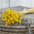 thumbnail image 3 of Ramos secos de flores artificiales NQ 50 tallos naranja, 3 of 5