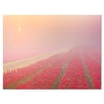 thumbnail image 2 of Sunrise over Rows of Tulips - Landscape Canvas Art Print, 2 of 3