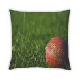 thumbnail image 2 of Ahgly Company Insects Cricket Coussin d'Intérieur, 18 Pouces par 18 Pouces, 2 of 6