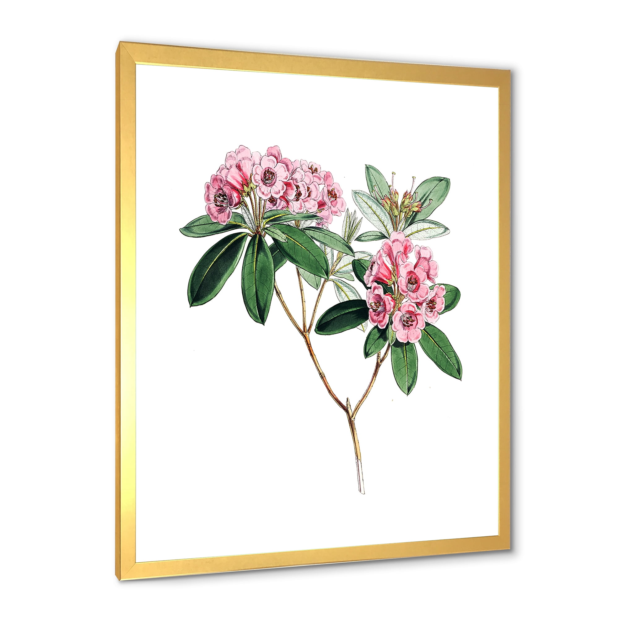 Designart 'Ancient American Flora II' Traditional Framed Art Print