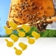 thumbnail image 4 of Juego de 5 comederos para abejas, dispensador de agua para apicultura, alimentador de entrada para colmena, herramientas para apicultor Unbranded 3111200191611, 4 of 7