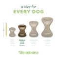 thumbnail image 4 of Benebone Dental Durable Dog Chew Toy for Aggressive Chewers, Real Bacon, Small, 4 of 6