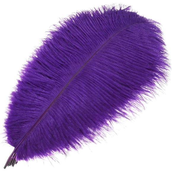 MWOOT 10pcs Natural Ostrich Feathers, 10-12inch(25-30cm) Crafts DIY Plume Feahter for Centerpieces Home Wedding Party Table Decoration (Purple)