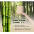 thumbnail image 3 of Bamboo Toilet Paper Unbleached, 48 Rolls, 3 Ply and 300 Sheets Bamboo Toilet Tissue - FSC Certified, Biodegradable, Chemical Free, Plastic Free, BPA Free, Septic Safe Toilet Paper, 3 of 5