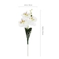 thumbnail image 4 of FOMIYES 10Pcs White Artificial Phalaenopsis Orchid Flowers for Party and Home Decoration, 4 of 4